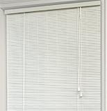 High Quality Eclipse 1/4-Inch Oval Roll Up Shade, 36-Inch by 72-Inch, White