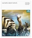 BBC EARTH �O���[�g�E�l�C�`���[ �u���[���C�E�f���b�N�XBOX(episode 2-6)