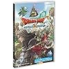 ドラゴンクエストX 5000年の旅路 遥かなる故郷へ オンライン(DQX)