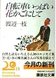 自転車いっぱい花かごにして (講談社文庫 わ 14-1)