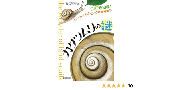 カタツムリの謎 日本になんと800種 コンクリートをかじって栄養補給 野島 智司 本 通販 Amazon カタツムリの謎 日本になんと800種 コンクリートをかじって栄養補給 野島 智司 本 通販 Amazon