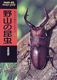 野山の昆虫 (ヤマケイポケットガイド)