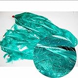 きんらん １．５ｍ [並行輸入品]