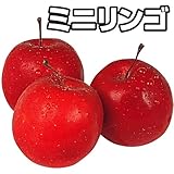 国華園　果樹苗　リンゴ　アルプス乙女　1株【※発送が国華園からの場合のみ正規品です】