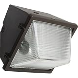 Newhouse Lighting WPMH150 150W Metal Halide Wall Fixture [並行輸入品]