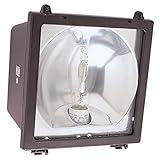 Sea Gull Lighting 86070B-10 1-Light Wall Packs Outdoor Flood, Bronze Finish with Clear Glass [並行輸入品]