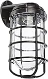 RAB Lighting VBR200DGB Vaporproof Glass Globe Cast Guard Incandescent Fixtures with Wall Mount Brack
