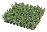 タカショー グリーンデコ 和風スギゴケセット（人工植物/観葉植物） （GN-21）