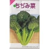 在来固定種　野菜の種「ちぢみ菜」5ml約１４００粒　畑懐〔はふう〕