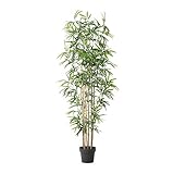 IKEA(イケア) FEJKA 50199277 人工観葉植物, 竹