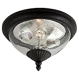 Sea Gull Lighting 88068746 Outdoor Wall Lantern海ガール照明88068746屋外の壁のランタン [並行輸入品]