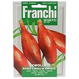 野菜の種 オニオン ROSSA LUNGA DI FIRENZE D42/23