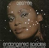 ��Ő��O�̎�`���A�E�g���b�N�W