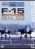 F-15 ���~�̔�s��