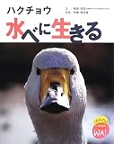 ハクチョウ水べに生きる (つながってるよいのちのWA!)