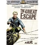 大脱走 [DVD]