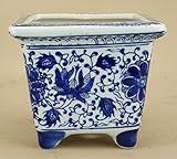 いよじ園 【盆栽鉢】 支那 草花紋 外縁正方鉢（大き目小品鉢 一辺:14cm）