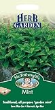 HE 英国ミスターフォザーギルズシード Herb Mint ハーブ・ ミント