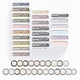 カラコン アンヴィ envie 1day 【シャンパングレイ】10枚入り UVカット カラーコンタクト ワンデー 度あり 度なし 14.0mm（シャンパングレイ／0.00）