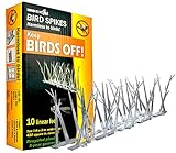 Bird-X, IncSP-10-NRPoly Bird Control Spikes Kit-10' POLY BIRD SPIKE KIT (並行輸入品)