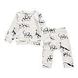 Tovadoo 子供服 ベビー服 男の子 パーカー+ズボン 秋冬 長袖 恐竜 ダイナソー柄 スポーツ風 ファッション 兄弟揃い 保育園 旅行 プレゼント