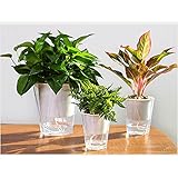 Liebeye 植木鉢 自動給水 植物ポット 透明 フラワーポット エレガント インテリア ギフト おしゃれ 北欧風 RLU09