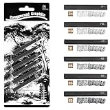 MyLifeUNIT 圧縮グラファイト 正方形描画鉛筆 アーティスト用 6本パック (2H HB 2B 4B 6B 8B)