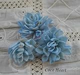 ~Coco Heart~　ソーラーダリア　ブルー３個セット　（木の実・ドライフラワー）