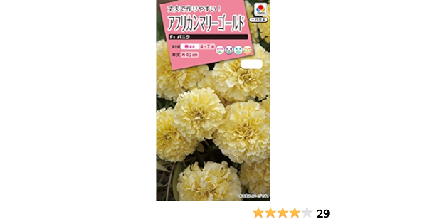 Amazon タキイ種苗 アフリカンマリーゴールド F1バニラ 花