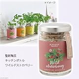聖新陶芸 キッチンボトル ワイルドストロベリー