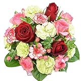 [花ぷらざ] 生花 カーネーションアレンジメント フラワーギフト 花ギフト 誕生日 花 結婚祝い プレゼント 贈り物