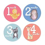 Design Corral Baby Girl Monthly Stickers Animals - Monthly Baby Stickers Girl - Onsie Stickers Girl 