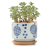 T4U 7.5CM 陶器鉢 和風シリーズNo.2 冬の布花 多肉植物 サボテン鉢 フラワーポット プランター容器 バンブートレイ付き