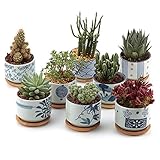 T4U 7.5CM 陶器鉢 和風シリーズ 多肉植物 サボテン鉢 フラワーポット プランター容器 バンブートレイ付き 8個入り