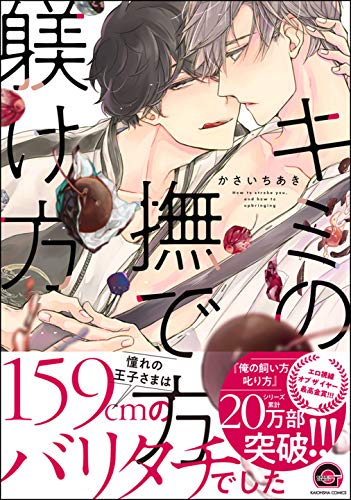 『キミの撫で方躾け方』