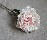 30 "ロングXLリアルタッチクリーミー牡丹人工Spring Flowers ( 1 pc ) (パステルピンク)