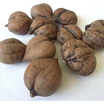 姫クルミ IMG_0501.jpg