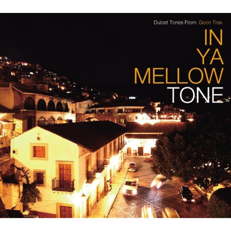 in ya mellow tone 16枚＋オマケ3枚 Amazon | IN YA MELLOW TONE 16 | V.A. | ヒップホップ | ミュージック