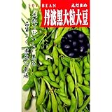 大豆 種 丹波黒大豆 小袋(約75粒）