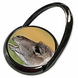 3drose Danita Delimont – Wildlife – Guanaco野生生物、チリ – sa05 mzw0010 – Martin Zwick – 電話リング( PHR _ 1409