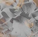 Love Let Me Go [Analog]