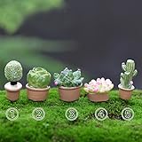 1 個 植物 DIY ガレージ 妖精 ガーデン クラフト 装飾 ミニチュア マイクロ Gnome テラリウム ギフト F0032