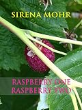 Raspberry One Raspberry Two (The Carol Schuyler Series Book 5) (English Edition)