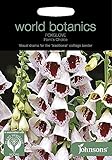 WB 英国ジョンソンズシード Johnsons Seeds world botanics collection Foxglove Pam's Choice フォックスグローブ（ジギタリス）・パムズ・チ