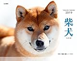 カレンダー2019 柴犬 (ヤマケイカレンダー2019)