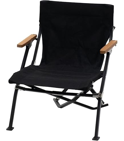 Amazon.co.jp: スノーピーク(snow peak)チェア ローチェアシリーズ対応