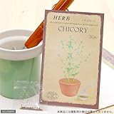 【種子】チコリー [0830]