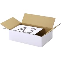 Amazon.co.jp: アースダンボール ダンボール 120サイズ 10枚セット A3