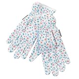 ガーデニング用マーガレットグローブ ブルー