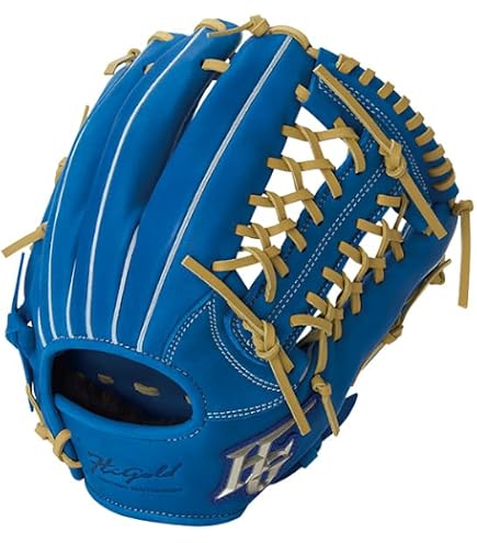 Amazon | HI-GOLD ハイゴールド ジュニア軟式用グラブ ROOKIES RKG